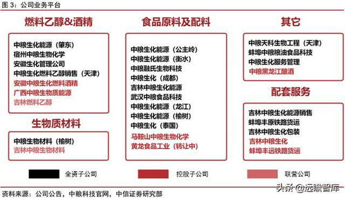 通往新能源 新材料 新食品的玉米之道 中粮科技公司深度研究